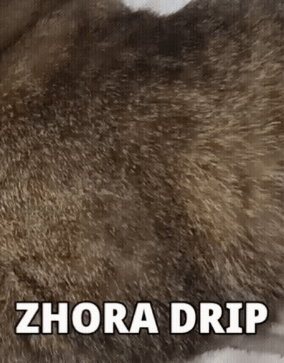 Dog Fur With Zhora Drip GIF