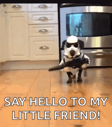 Dog Gangster Say Hello To My Little Friend GIF