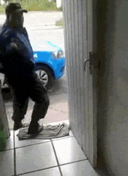 Dog Gets Patted Hands Up GIF