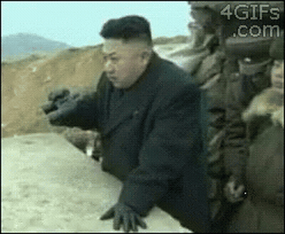 Dog Getting Haircut By Barber GIF