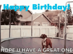 Dog Happy Birthday GIF