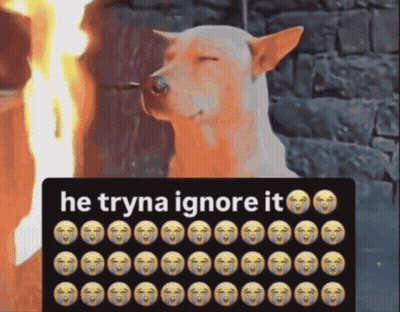 Dog He Tryna Ignore It GIF