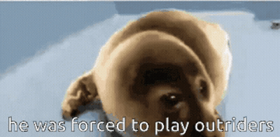Dog He Was Forced To Play Outsiders GIF