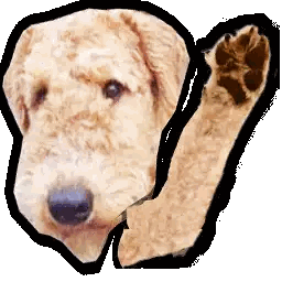 Dog Head And Paw Close Up Sticker