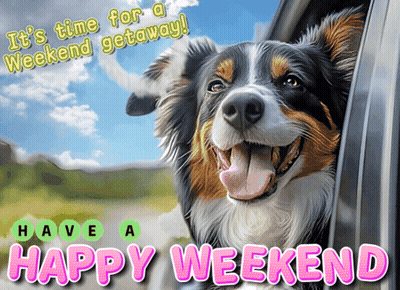 Dog Head Out Car Window Saying It's Time For A Weekend Getaway GIF