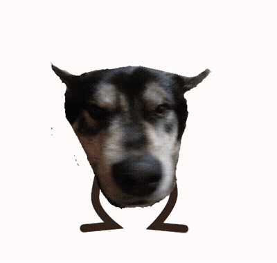 Dog Head With Drawn Legs GIF