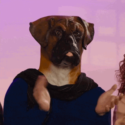 Dog Headed Man Applause Approval GIF