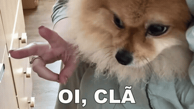 Dog Held By Person With Ring Saying Oi Cla GIF