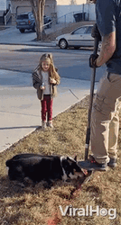Dog Help In Digging GIF