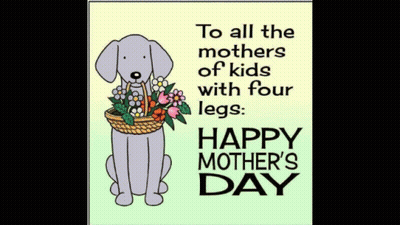 Dog Holding Basket Of Flowers Happy Mother's Day GIF