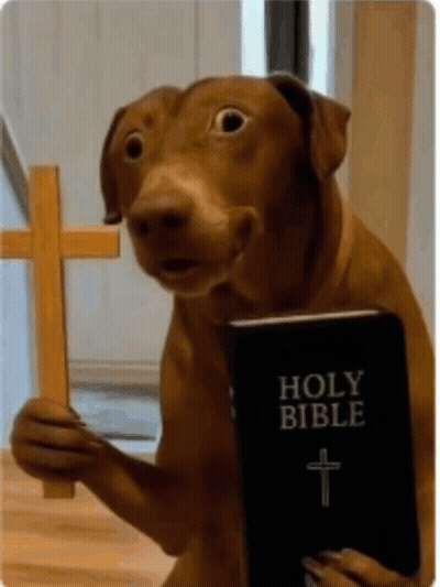 Dog Holding Bible And Cross GIF