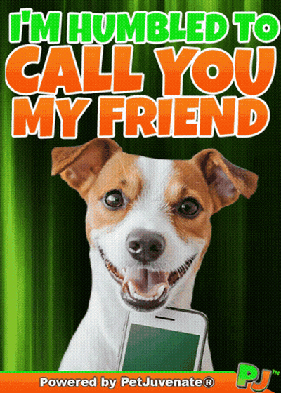 Dog Holding Cell Phone I'm Humbled To Call You My Friend GIF