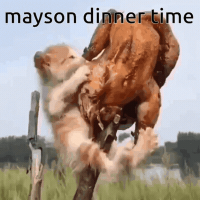 Dog Holding Chicken Saying Mayson Dinner Time GIF