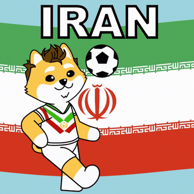 Dog Holding Soccer Ball In Front Of Iran Flag GIF