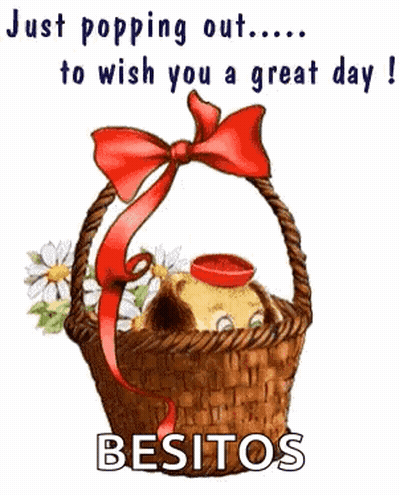 Dog In Basket With Flowers And Red Bow GIF