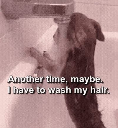 Dog In Bathtub Saying Another Time Maybe I Have To Wash My Hair GIF