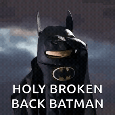 Dog In Batman Costume Holy Broken Back Batman GIF