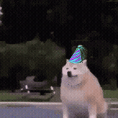 Dog In Birthday Hat Walking GIF