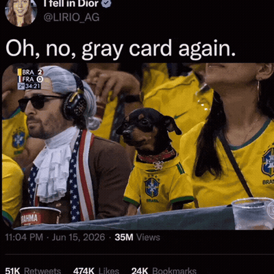Dog In Brazil Shirt Next To Man In Wig GIF