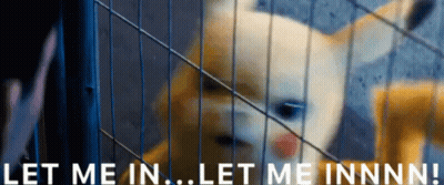 Dog In Cage Let Me In GIF