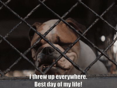 Dog In Cage Saying I Threw Up Everywhere Best Day Of My Life GIF