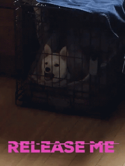 Dog In Cage Saying Release Me GIF