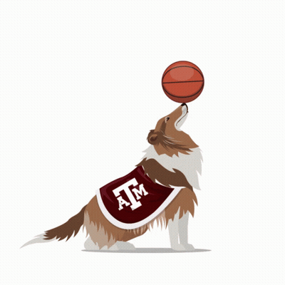 Dog In Cape Saying ATM Balancing Basketball On Nose GIF