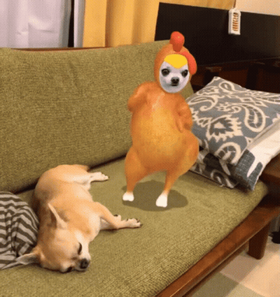 Dog In Chicken Costume Lying On Couch GIF