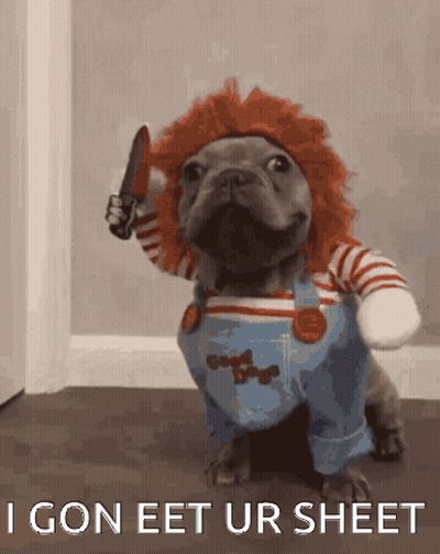 Dog In Chucky Costume Holding Knife Saying I Goneet Ur Sheet GIF
