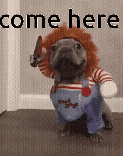 Dog In Chucky Costume Holding Knife Says Come Here GIF