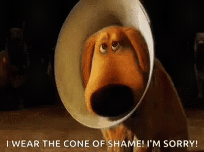 Dog In Cone Of Shame Saying I'm Sorry GIF