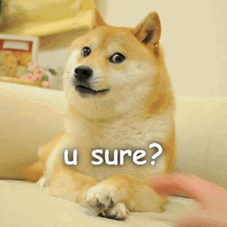 Dog In Doubt You Sure GIF