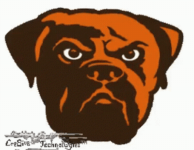 Dog In Football Helmet Saying Creative Technologies GIF