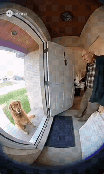 Dog In Front Of Door Saying Sora GIF