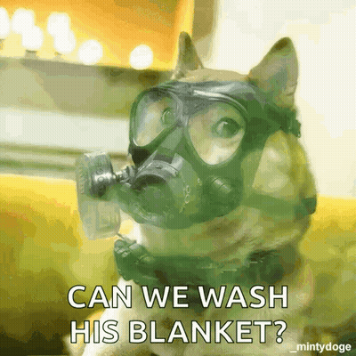 Dog In Gas Mask Asking To Wash Blanket GIF
