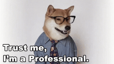Dog In Glasses And Tie Saying Trust Me I'm A Professional GIF