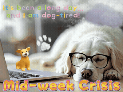Dog In Glasses Laying Before Laptop Mid-Week Crisis GIF