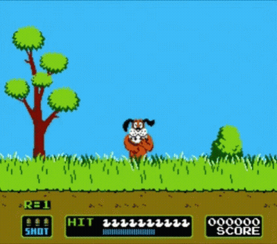 Dog In Grass And Tree GIF