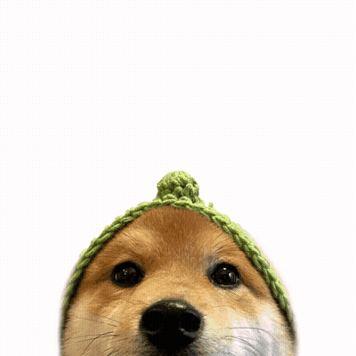 Dog In Green Hat Looking At Yum Drawing GIF