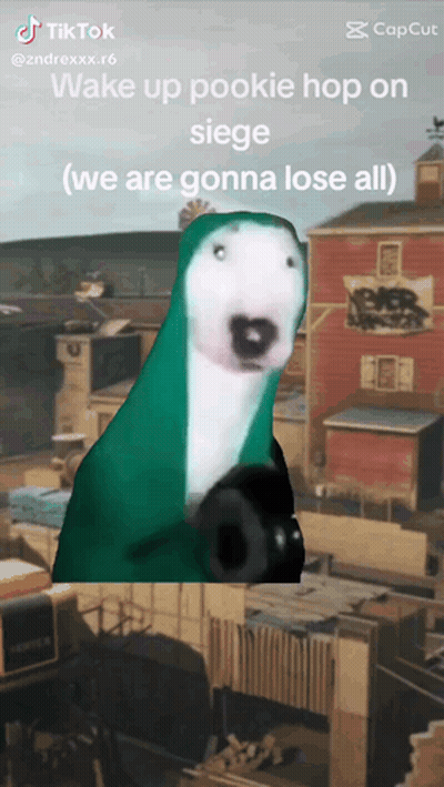 Dog In Green Hoodie Holding Gun GIF
