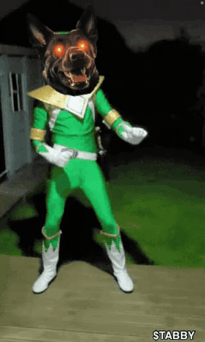 Dog In Green Power Ranger Costume With Red Eyes GIF