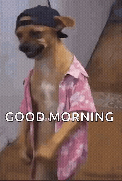 Dog In Hat And Pink Shirt Saying Good Morning GIF