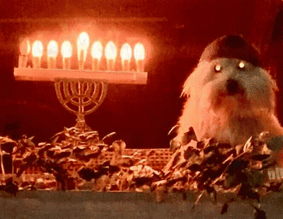Dog In Hat Sitting Before Lit Menorah GIF