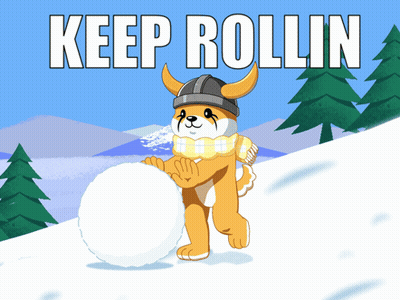 Dog In Helmet And Scarf Holding Snowball Keep Rollin GIF