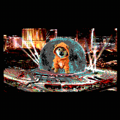 Dog In Hoodie With Letter D Before City GIF