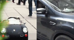 Dog In Kid Car Almost Crash GIF