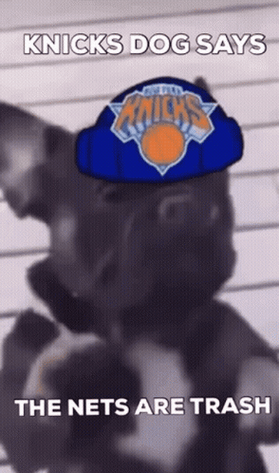 Dog In Knicks Logo Hat GIF