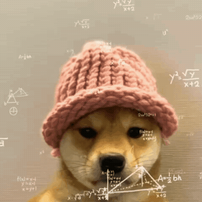 Dog In Knitted Hat Surrounded By Math Equations GIF