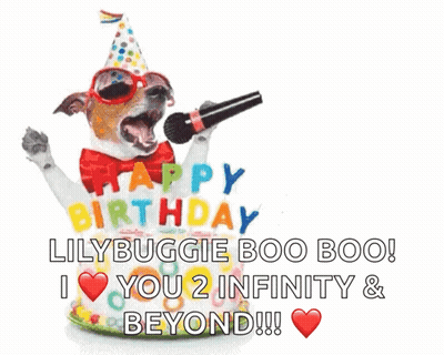 Dog In Party Hat And Sunglasses Singing Happy Birthday Lilybuggie Boo Boo GIF