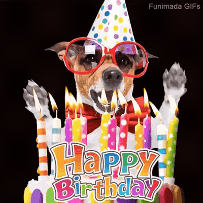 Dog In Party Hat Blowing Out Birthday Candles GIF